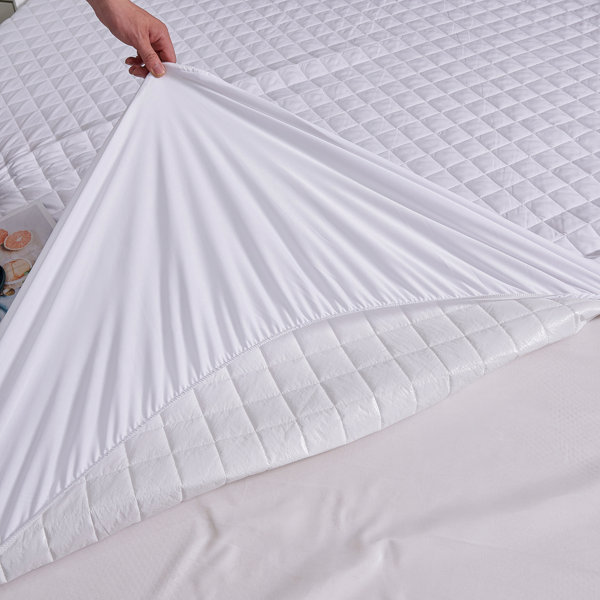 Alwyn Home Defazio Waterproof Fitted Mattress Protector Wayfair
